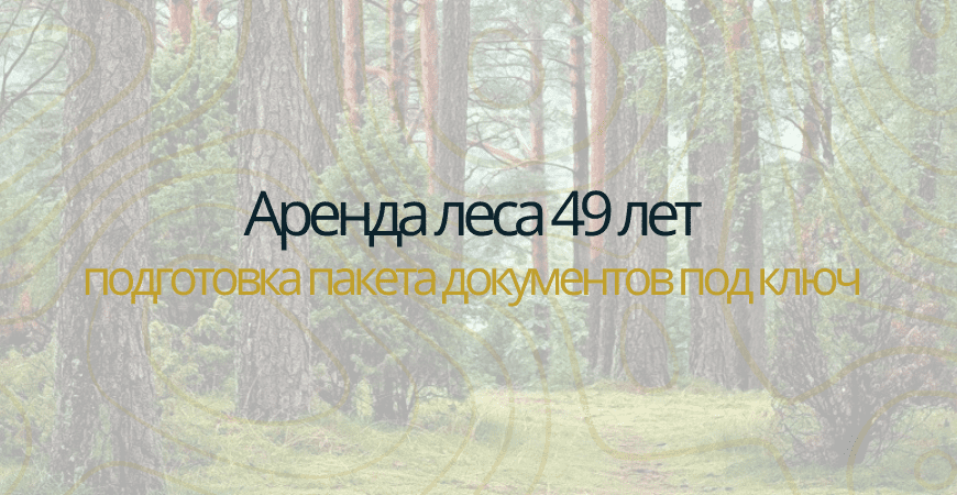 Аренда леса на 49 лет Аренда леса на 49 лет в Пушкино