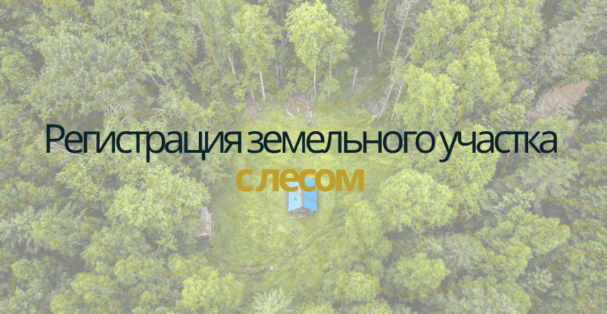 Земельный участок с лесом в Пушкино